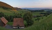 Tocht Te voet Wald (ZH) - Wald - Scheidegg - Photo 10