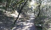 Trail Walking Saint-Restitut - St Restitut - Château du Barry - village troglodyte - Photo 2