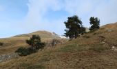 Tocht Stappen Avrieux - Col du Barbier - Photo 3