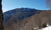 Tour Wandern Sewen - Lac d'Alfed et sa cascade - tour au pied du Ballon d'Alsace - Photo 16