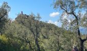 Tocht Stappen Biure - Castell Mont Roig nouvelle version - Photo 15