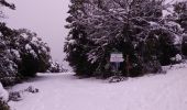 Trail Walking Escragnolles - Escragnolles , Rouyère chapelle Saint Matin en hiver - Photo 18