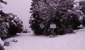 Excursión Senderismo Escragnolles - Escragnolles , Rouyère chapelle Saint Matin en hiver - Photo 18