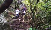 Trail Walking Calheta - Levada do Aletrim - Photo 7