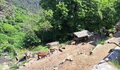 Percorso Marcia Colombières-sur-Orb - Gorges de Colombieres et retour au col de Madale - Photo 2