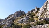 Tour Wandern Omblèze - Plateau d'Ambel (le tour) - Photo 2