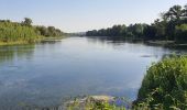 Tour Wandern Pinsaguel - PINSAGUEL : sentier de la Confluence (24.08.2023) - Photo 7