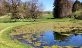 Excursión Senderismo Clavier - La promenade du Magnifique Hoyoux  - Photo 8