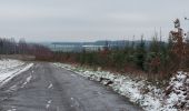 Randonnée Marche Bouillon - Cornimont 240123 - Photo 2