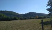 Tour Wandern Sentheim - Marcher au marché 2  - Photo 10