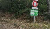 Trail Walking Escragnolles - hameau de Clars avec Toto - Photo 4