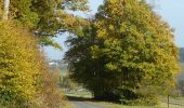 Tour Zu Fuß Adelsheim - Rundwanderweg Wemmershof 1: Römer-Weg - Photo 8