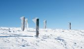 Tocht Sneeuwschoenen Saint-Agnan-en-Vercors - Beure - Écondus - Photo 17