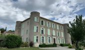 Tocht Te voet Saint-Laurent-du-Verdon - Chappelle Notre-Dame-du-Verdon - Photo 2