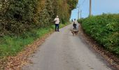 Tocht Stappen Pont-à-Celles - Marche PAC - Photo 10