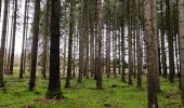 Tocht Stappen Gouvy - Promenade vers la réserve naturelle 