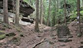 Tocht Te voet Reisdorf - Mullerthal Trail Extra Tour B - Photo 6