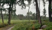 Excursión Senderismo Arbonne-la-Forêt - Forêt de Fontainebleau Tour de la Vierge et Le Hurlevent - Photo 15