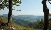 Tocht Te voet Unknown - Gondelbahn - Wasserfallen - Photo 10