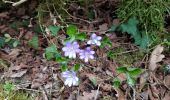 Trail Walking Le Caylar - Le Caylar - Le Cros - La Couvertoirade - Photo 6