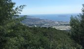 Tour Rennrad La Roquette-sur-Siagne - Col du Grand Duc - Photo 3