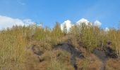 Trail Walking Farciennes - bois des corbeaux lambusart - Photo 1