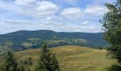 Tour Wandern Büssing - Circuit col de bussang / tête de la Bouloie - Photo 4