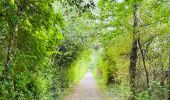 Tour Wandern Landen - La vallée du ruisseau Mombeek : la réserve naturelle De Beemden à Attenhoven - Photo 4