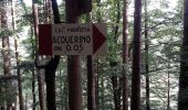 Trail On foot Cantagallo - Sentiero CAI 15 - Sez. Prato - Photo 3