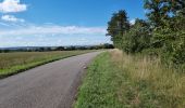 Excursión Bici de carretera Vouthon-Haut - boucle Gondrecourt Vouthon-Haut  - Photo 4