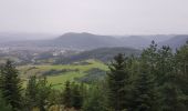 Randonnée Marche Saint-Dié-des-Vosges - Balade autour du Col de la Crenée - Photo 1