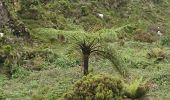 Tour Wandern Água de Alto - Lago de fuego - Photo 5