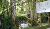 Randonnée Marche Érezée - EREZEE SOUS LE BOIS - Photo 4