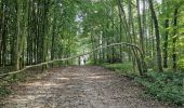 Trail Walking Heers - Wikiloc Hornebos  (PVDB) - Photo 14