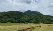 Trail Walking Ceyssat - Du Puy-de-Dôme au Pariou - Photo 17