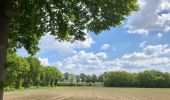 Tour Zu Fuß Borger-Odoorn - Bijvoetpad - Photo 4