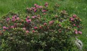 Trail On foot Sand in Taufers - Campo Tures - Fuldaerweg, 1 - Photo 7