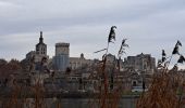 Randonnée Marche Avignon - ile de la Barthelasse - Photo 8