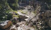 Tour Wandern Laroque - Laroque - Avens, menhir - Rocher du Pin - Photo 20