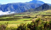 Trail Walking Le Tampon - Piton Dugain - Herbes blanches - Photo 1