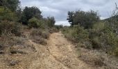 Trail Walking Duilhac-sous-Peyrepertuse - boucle moulin de ribaute - duilhac - gorge du verdouble  - Photo 8