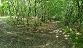 Trail Walking Villechauve - Villechauve 41310 - Photo 11