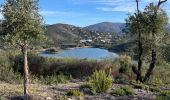 Excursión  Bormes-les-Mimosas - Barrage du trépan la louve - Photo 6