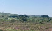 Trail Walking Plounéour-Ménez - Roch Trévézel  - Photo 17