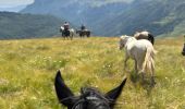 Trail Horseback riding Accous - Lhers - Puenta de Santa Ana - Photo 6