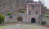 Tour Wandern Schirmeck - Schirmeck : de la Côte du Château au Strutof - Photo 9