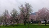 Tocht Stappen Luik - liege st lambert versant gauche entre ville et nature  - Photo 6