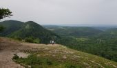 Tour Wandern Le Frasnois - Lac de Narlay - Pic de l'Aigle - Photo 1