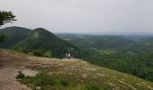 Tocht Stappen Le Frasnois - Lac de Narlay - Pic de l'Aigle - Photo 1