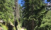 Randonnée Marche Cogne - Cogne Valnontey Cogne - Photo 5